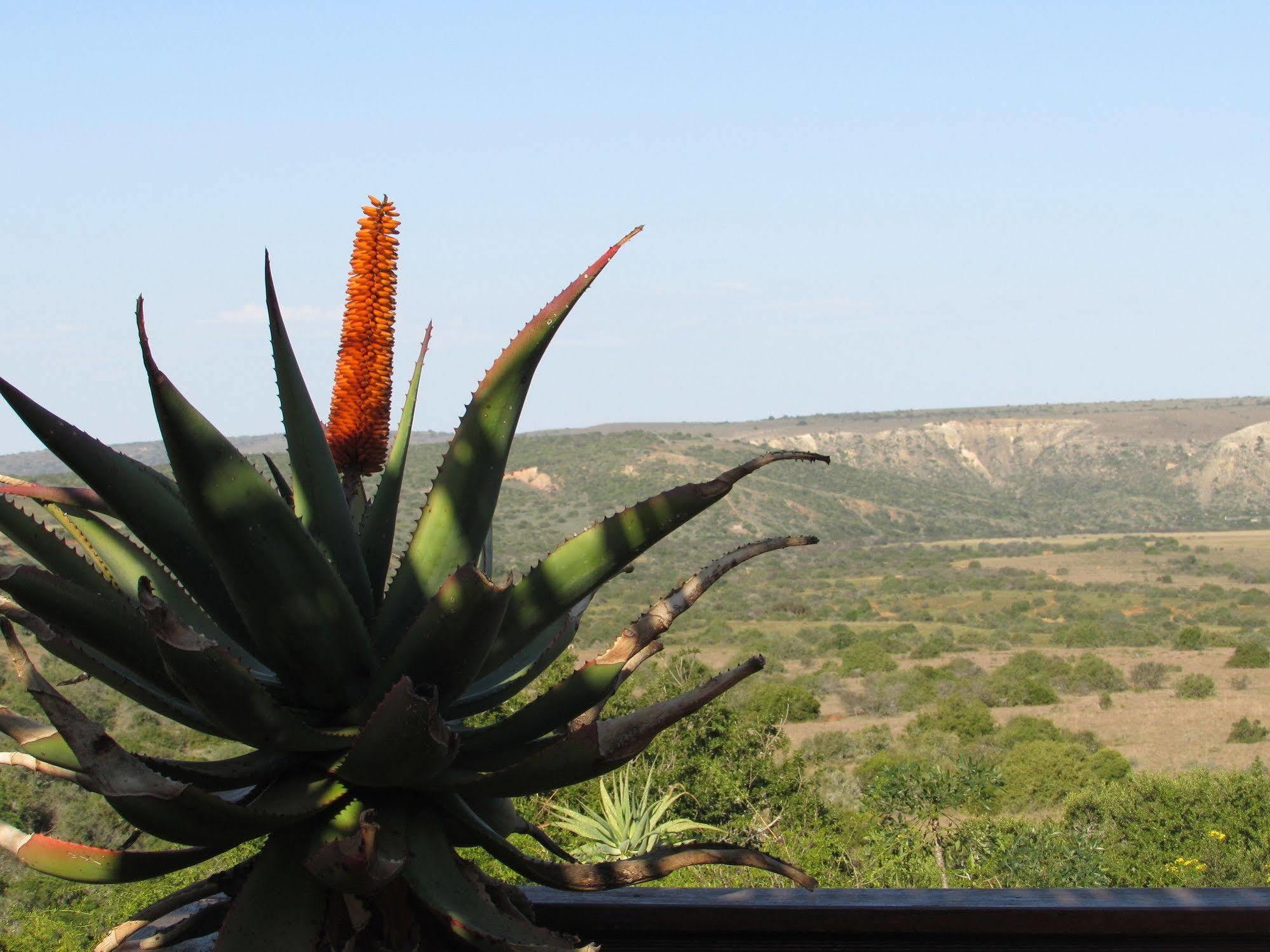 Woodbury Lodge - Reserva de Amakhala Exterior foto